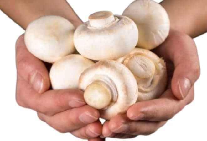 how-long-do-mushrooms-last