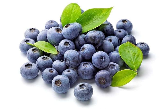 Blue-berries-gone-bad