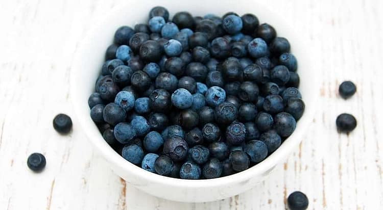 how-long-does-blueberries-last (2) (1)