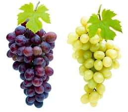 how-long-do-grapes-last