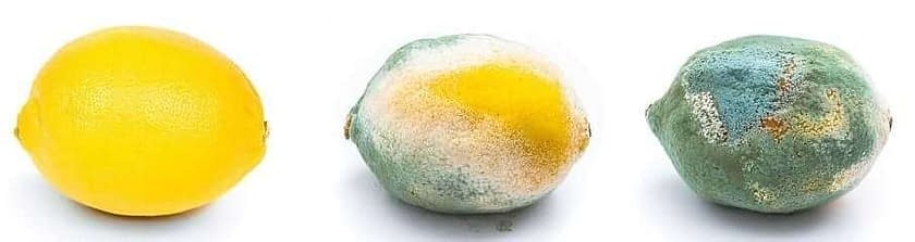 Do Lemons Go Bad How Long Do Lemons Last In 2022 Healthplanetary